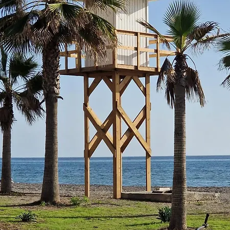 Wild Palms Apartment *