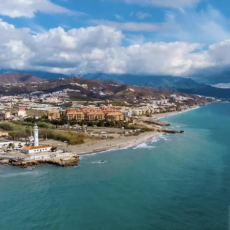 Wild Palms * Torrox