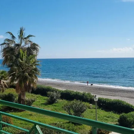Wild Palms * Torrox