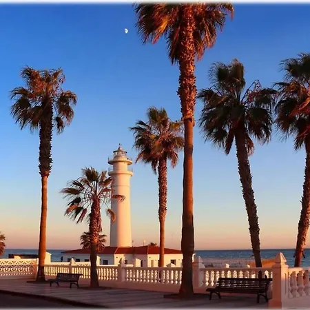 Wild Palms