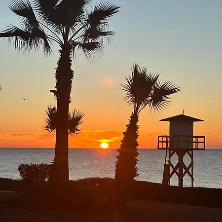 Apartament Wild Palms *